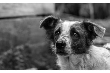 Baricella #SeNonTiPortoNonParto