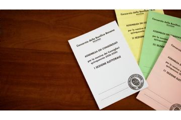 Elezioni per il rinnovo del Consiglio di Amministrazione del Consorzio della Bonifica Renana per il quinquennio 2026-2030.